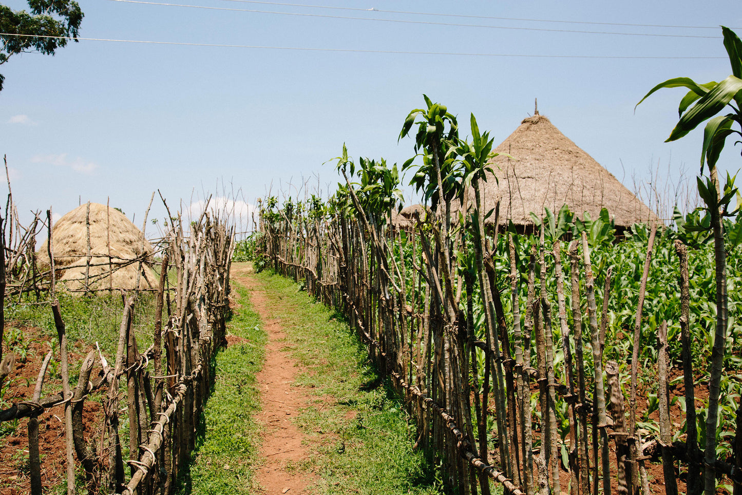 Tega & Tula - Éthiopie