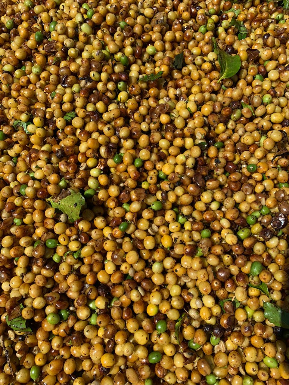 Morango - Rio Brilhante & Los Volcanes (Brésil)