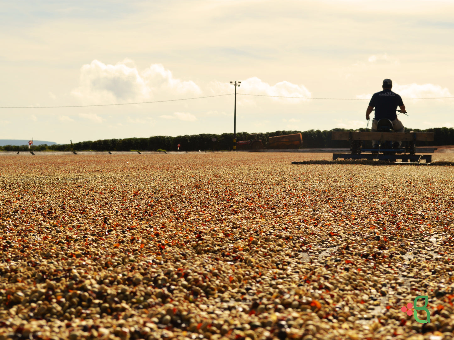 Amora - Rio Brilhante & Los Volcanes (Brésil)