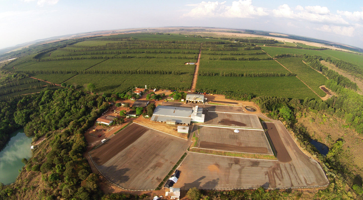 Morango - Rio Brilhante & Los Volcanes (Brésil)