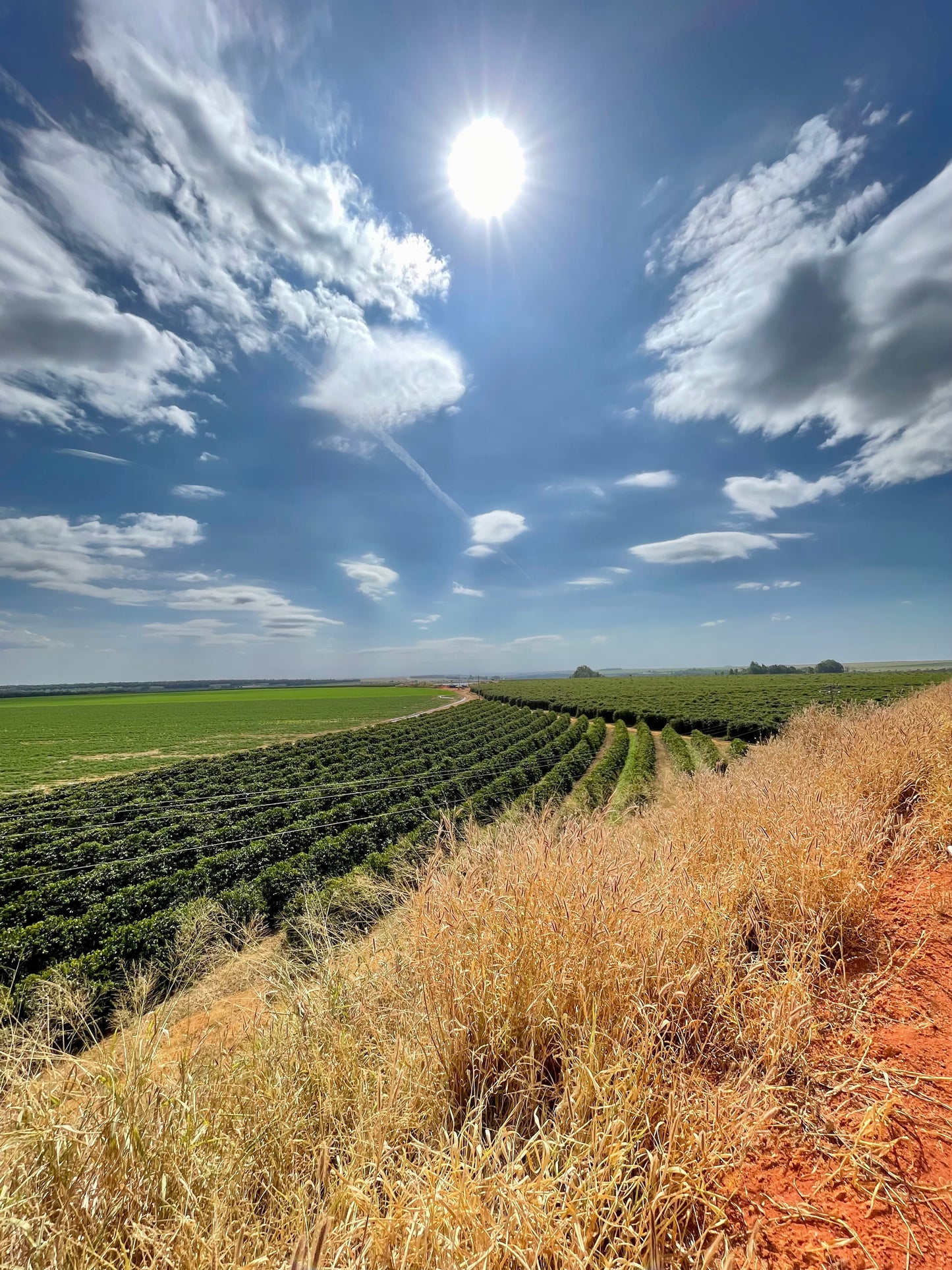 Amora - Rio Brilhante & Los Volcanes (Brésil)