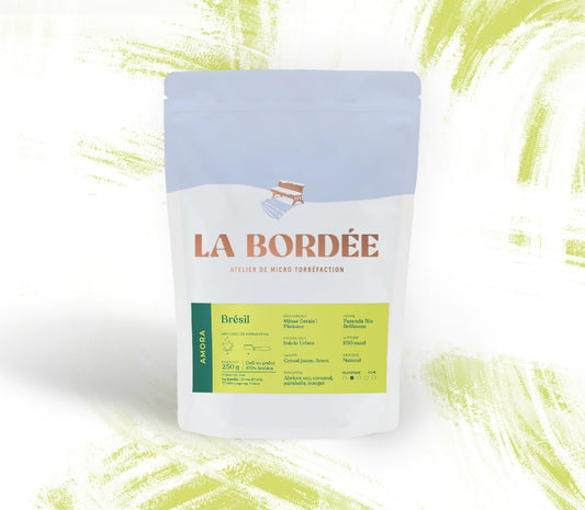 Amora - Rio Brilhante & Los Volcanes (Brésil)