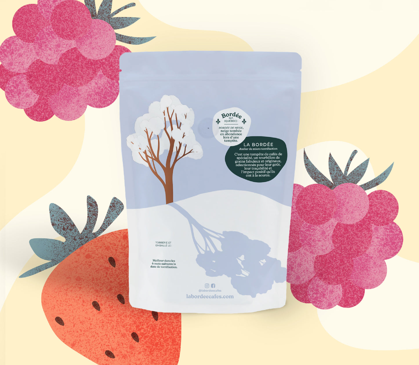 El Progreso (Macération carbonique - Double fermentation & lavé) - Colombie